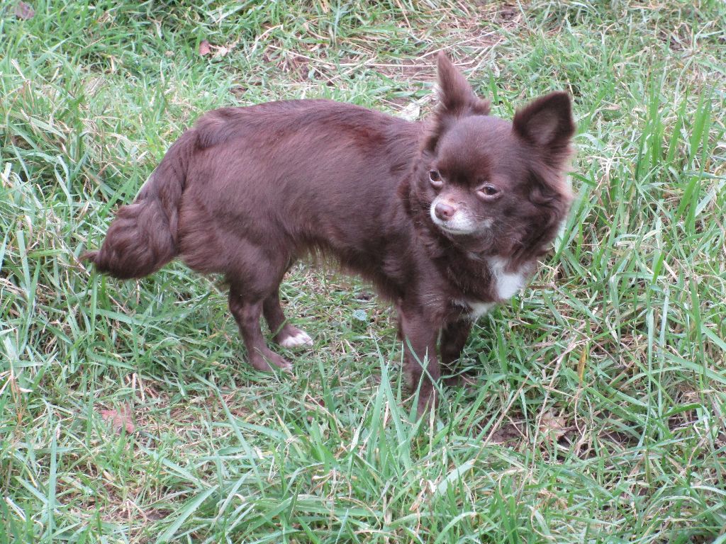 Miss mylie Du Royaume D'odin